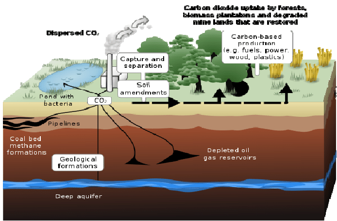 Schematic showing both terrestrial and geological sequestration of carbon dioxide